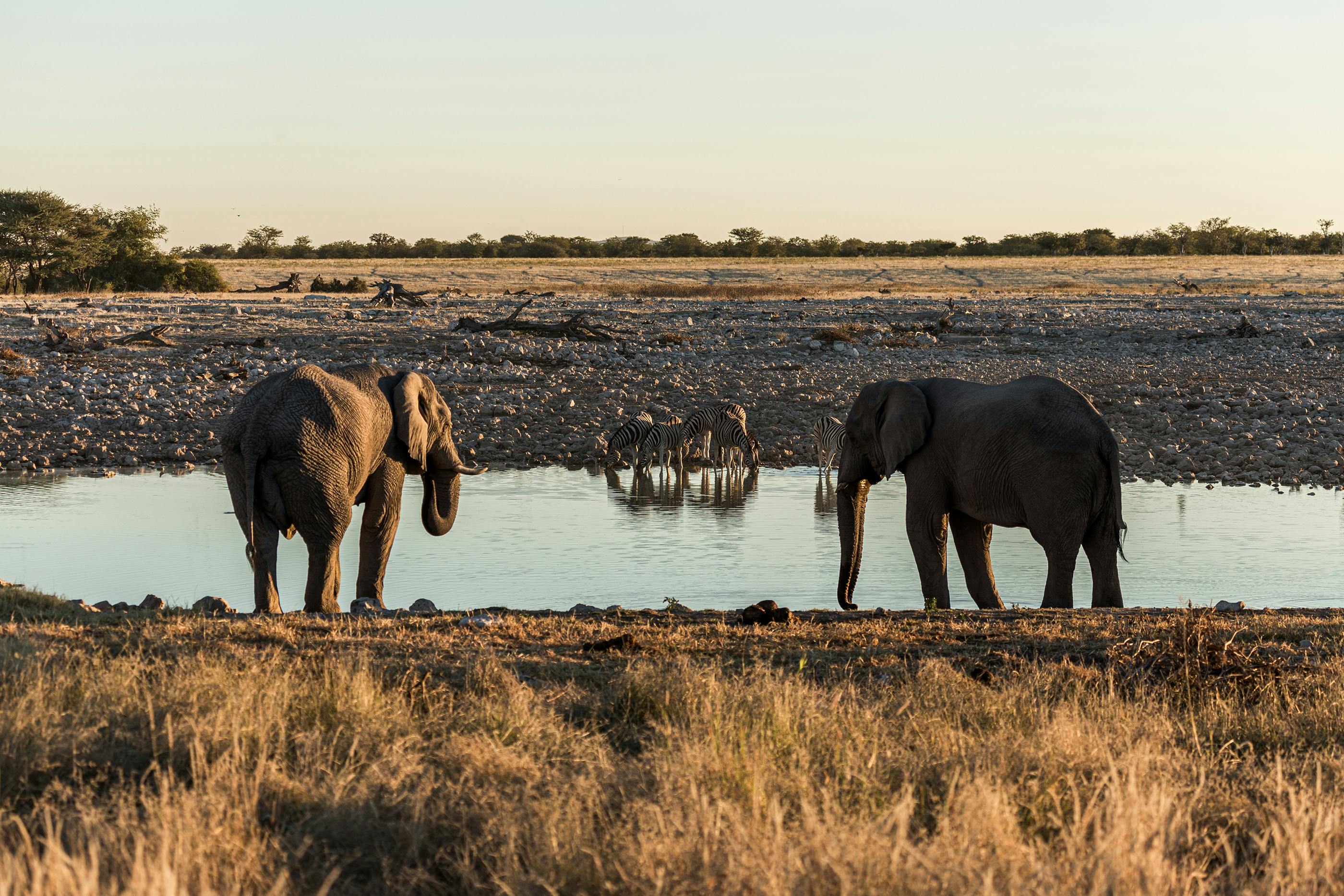 Samburu & Rift Valley